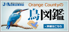 JBA Orange Countyの鳥図鑑