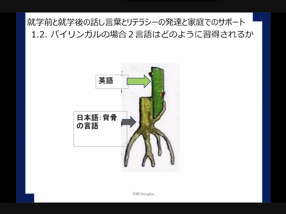 背骨となる言語と接木として学ぶ英語の関係を示した図